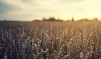Lancement du projet de rémuneration Carbone des exploitations agricoles
