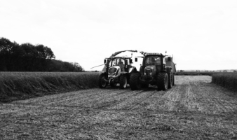 Premiers résultats de la plateforme CIVE (Interculture à vocation énergétique)et de ses secondes cultures sur Terrasolis FARM