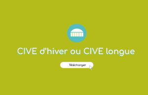 CIVE D'HIVER ET CIVE LONGUE
