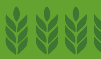 Agriculture bilan Carbone, de CarbonThink à Terrasolis Farm