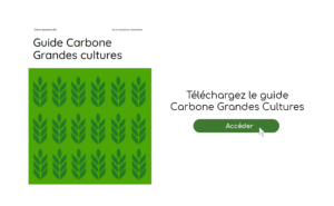 Guide Carbone Grandes Cultures