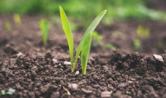 Outil de référencement des fertilisants FERTICLICK