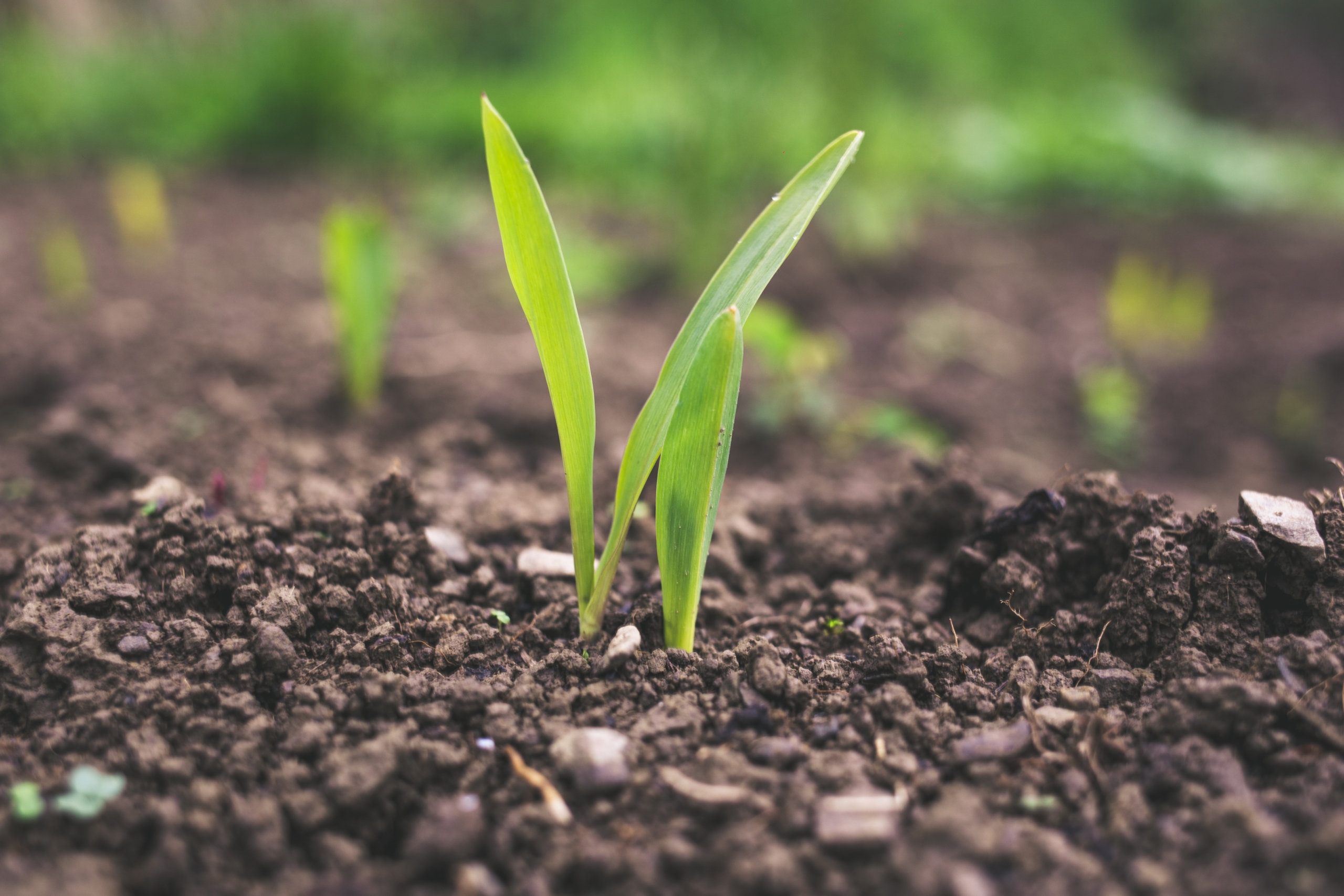 Outil de référencement des fertilisants FERTICLICK