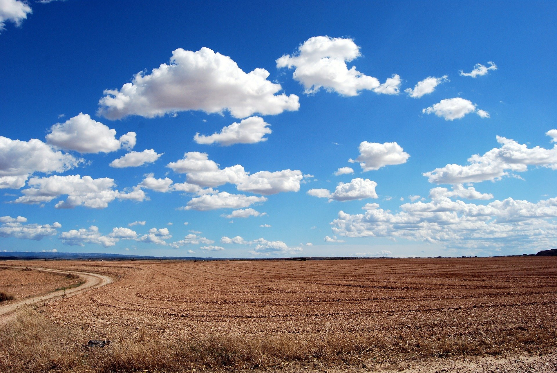 Terrasolis participe au positionnement de l agriculture bas carbone à l échelle Européenne