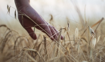 TERRASOLIS FARM : 4 OUTILS DE DIAGNOSTIC CARBONE