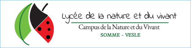 Somme Vesle