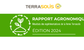Rapport Agronomique 2024
