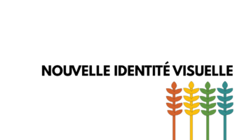 Nouvelle identité visuelle : Terrasolis affirme son engagement