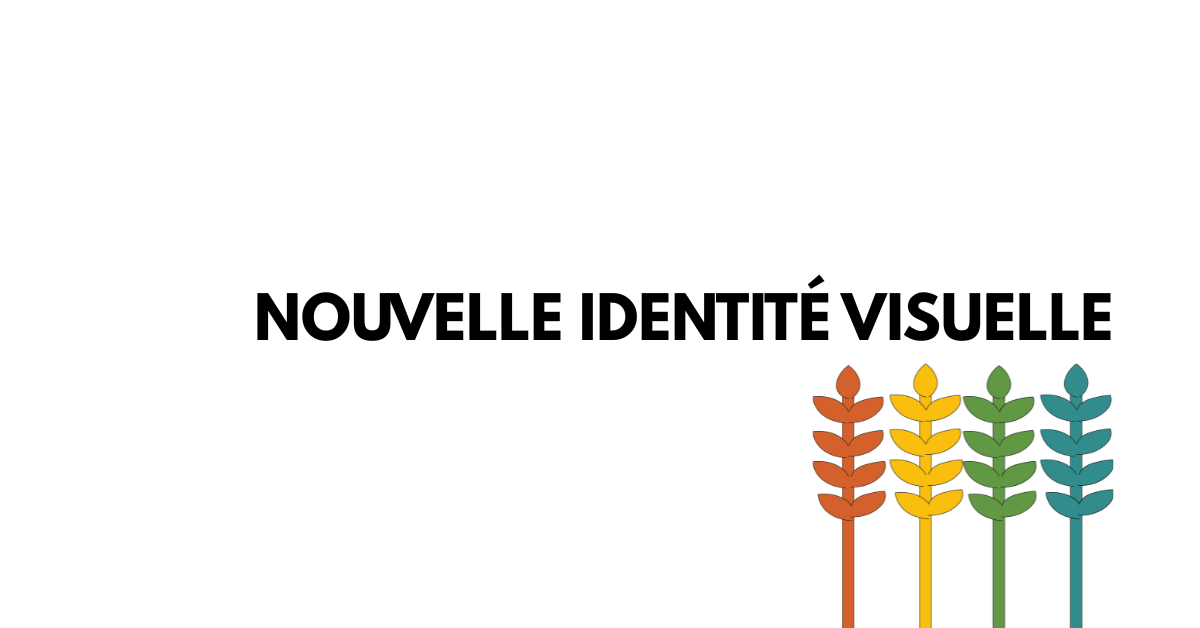 Nouvelle identité visuelle : Terrasolis affirme son engagement